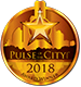 Pulse of the City News 2018 Award Winner