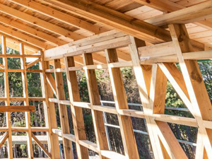 Construction Framing, Annapolis, MD